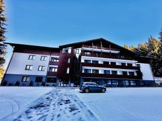 Ski Retreat - Poiana Brasov - 5