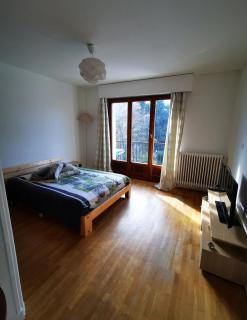 Beau T1 Spacieux, Proche Centre et lac - Annecy - 7