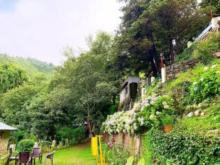 ROSETREE - Rāmgarh - 5