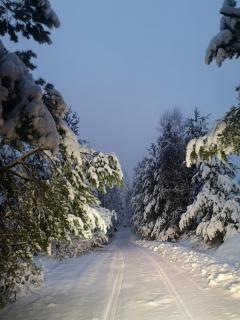 Domek pod lasem podlaskie - 9