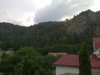 Casa Domneasca - Baia de Fier - 4
