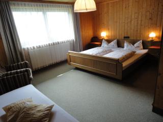 Haus Mellenbach - Mellau - 2