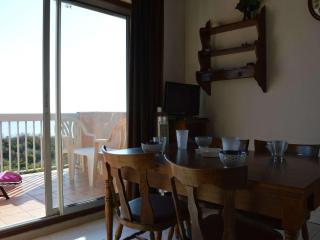 Appartement 2 pièces avec parking, terrasses, animaux admis à 100m de la plage - FR-1-225D-10 - 4