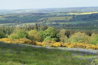Dog friendly barn conversion in rural Shrops - 8