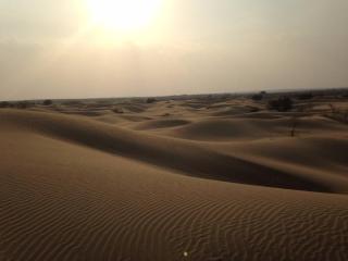 Sam Desert Luxury Resort - 4