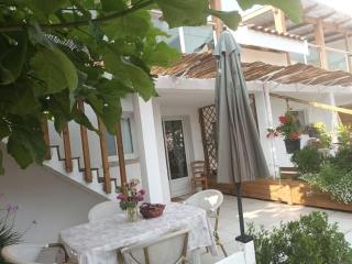La Casita, au paradis du surf - Maubuisson - 9