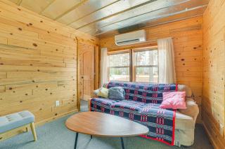 Oscoda Cabin with Charcoal Grill Walk to Lake Huron - Oscoda - 5