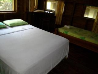 Jungle River Lodge - La Ceiba - 9
