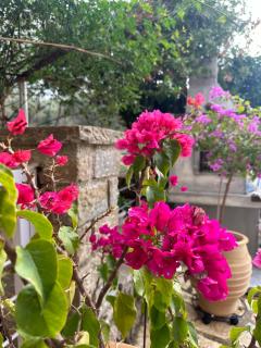 Casa Malva Giardino - 5