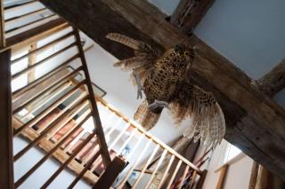 Charming Tudor riverside house - 7