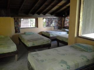Jungle River Lodge - La Ceiba - 6