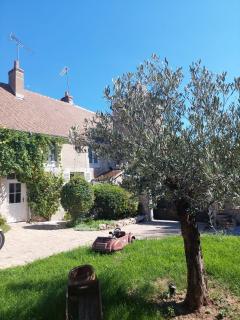 Gîte de la tour de Loire - 65 m2 au pied d'une tour de gué du 17ème siècle - Mer - 2