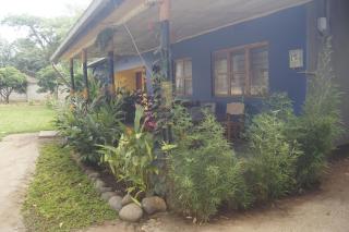 Blue Cactus Shanty - 0