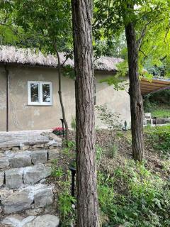 Eco-Chic Retreat: Countryside Oasis Near Florence - Pozzolatico - 4