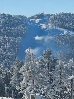 Apartmani kod Pančevca - 0