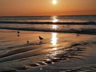 Almost Heaven Oceanfront B 2/2~Free WIFI / Direct Ocean - Myrtle Beach - 4