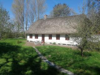 Gemütliches Reetdachhaus mit Kaminofen - Ribe - 6