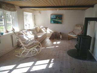 Gemütliches Reetdachhaus mit Kaminofen - Ribe - 4