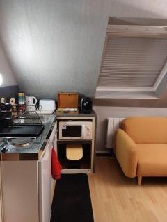 bel appartement 50 m2 aux portes de STRASBOURG de 1 à 5 personnes chez particuliers avec 2 sdb coin cuisine-repas et kitchinette Prix négociable pour 1 personne - Vendenheim - 4