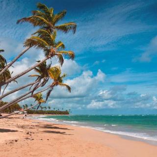 Exclusive Villa * private Beach and Housekeeping - Punta Cana - 8