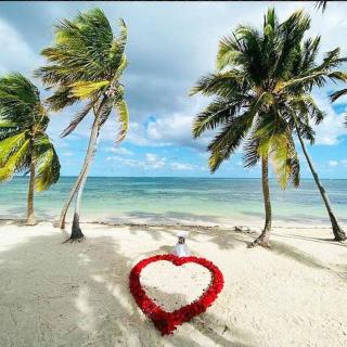 Exclusive Villa * private Beach and Housekeeping - Punta Cana - 5