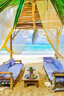 Exclusive Villa * private Beach and Housekeeping - Punta Cana - 6