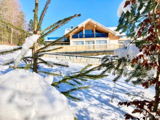 Alpen Luxury Lodge, MARIAZELL - 4