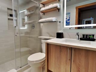 Timberline Condominiums 1 Bedroom plus Loft Deluxe Unit A3B - Snowmass Village - 4