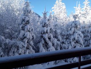 Goran - Jahorina - 1