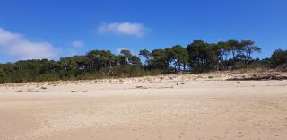 Les Rochers de Vallières, Appartement de 35 m2 avec 1 chambre, Terrasses, Jardin 140 m2, Vue panoramique face à l'Océan ! - 1