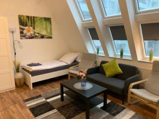 CityApartment Platinum-Zentrum mit Parkplatz - Bielefeld - 8