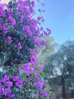 Villa Montgo - Denia - 7