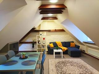 Old Town Charm One bedroom Spacious Loft Apartment nearby the Livu square - 8