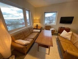 Lofoten Aurora Seafront Penthouse 罗弗敦极光海滨顶层豪华公寓 - 9