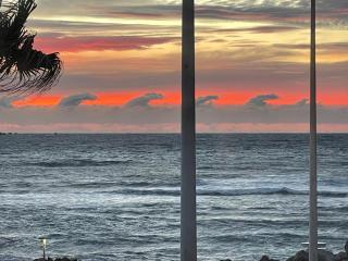 Le rayon vert - Six-Fours-les-Plages - 7