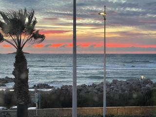 Le rayon vert - Six-Fours-les-Plages - 8