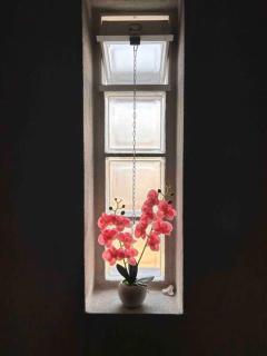 Pink House: intero appartamento - Volla - 2