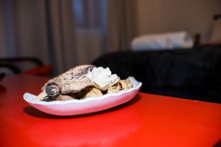 Studio Sonia - Tordosan Central - #1 - 1