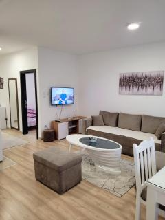 Apartman Lukić - Banja Koviljača - 0