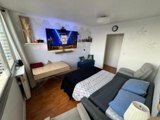 Guest room in a shared apartment - Metro 7 and Tramway T3a - París - 8