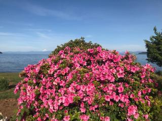 Hostel Cala 816 - Frutillar - 2