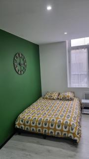 Studio Hibiscus tout confort, rénové - Saint-Quentin - 7
