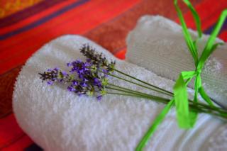 B&B Foresteria Della Certosa - Collepardo - 5