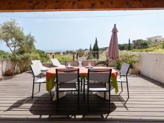 Villa climatisée 3 chambres avec terrasse vue mer à Saint Pierre la Mer - FR-1-409-188 - Fleury - 0
