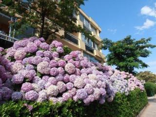 Appartement rénové, 2 pièces, climatisé, garage, balcon, à 350m de la plage - Bormes-les-Mimosas - FR-1-251-526 - Bormes-les-Mimosas - 2