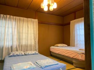 Mason 2 ,direct to Disney,Narita AP, Haneda AP,Asakusa,Sky Tree Tower, Ueno Ueno - 5