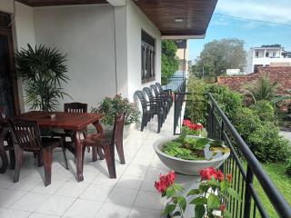 Lovely FLowers in Mount Lavinia - Mount Lavinia - 5