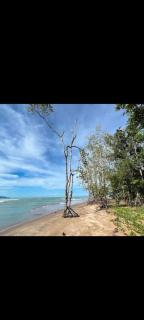 The Mangrove - Sematan - 3