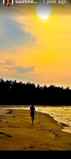 The Mangrove - Sematan - 2