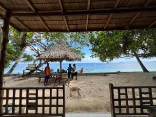 Dolphin Homestay - 2